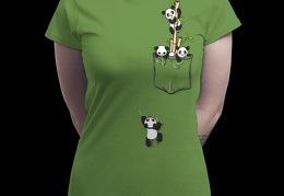Pocket Pandas
